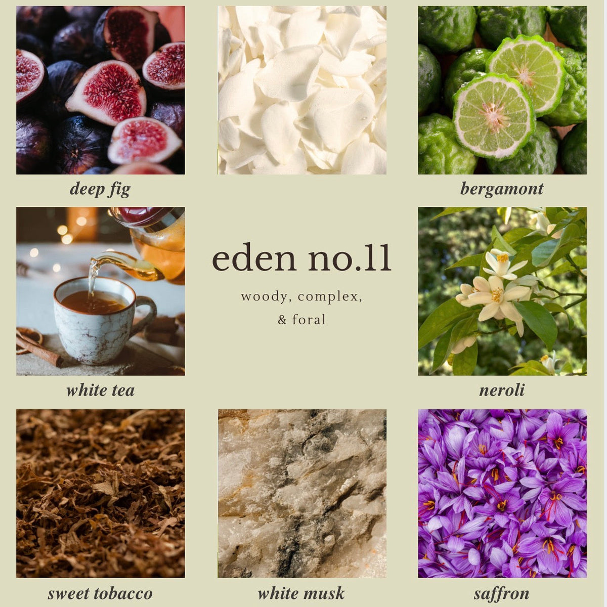 eden no.11