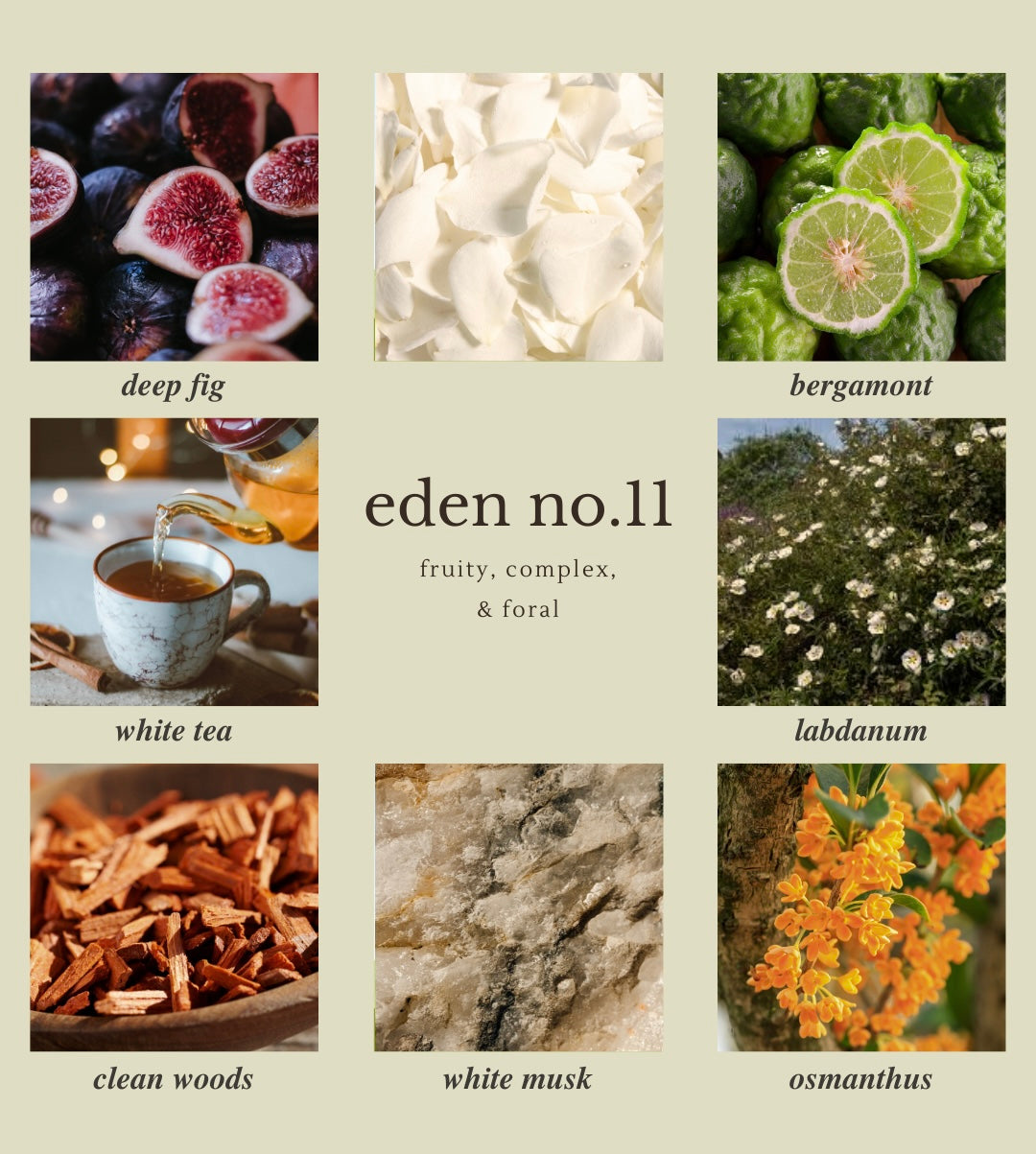 eden no.11