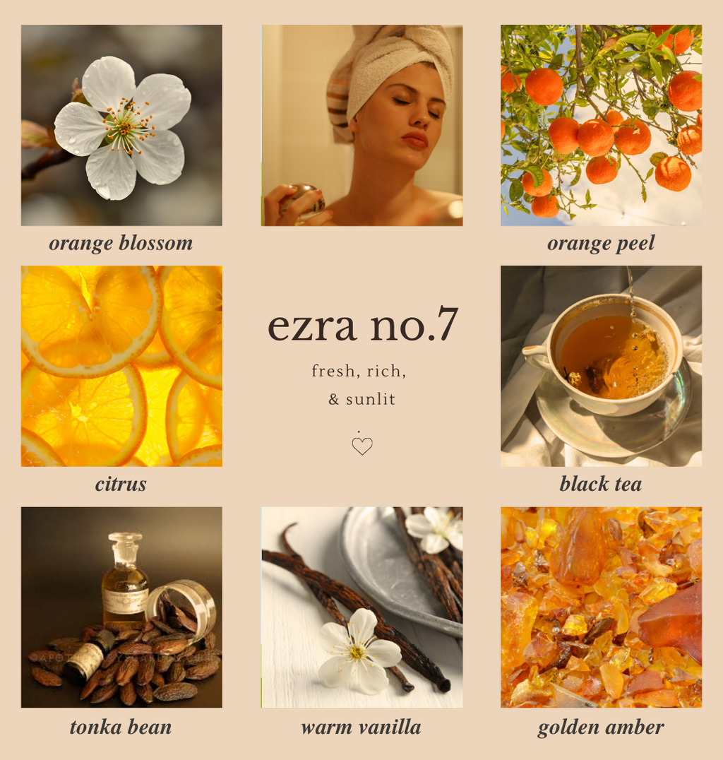 ezra no.7