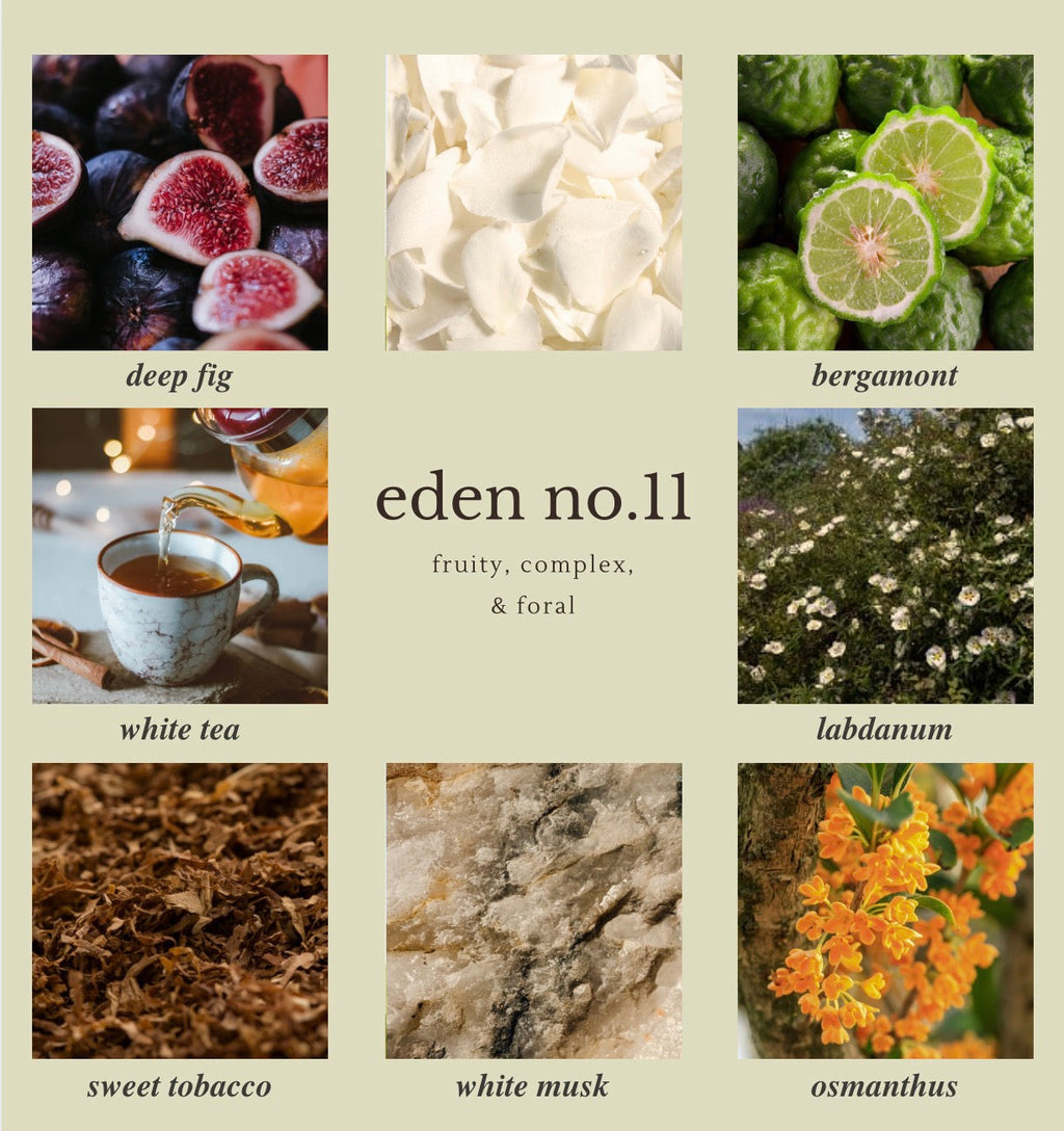 eden no.11