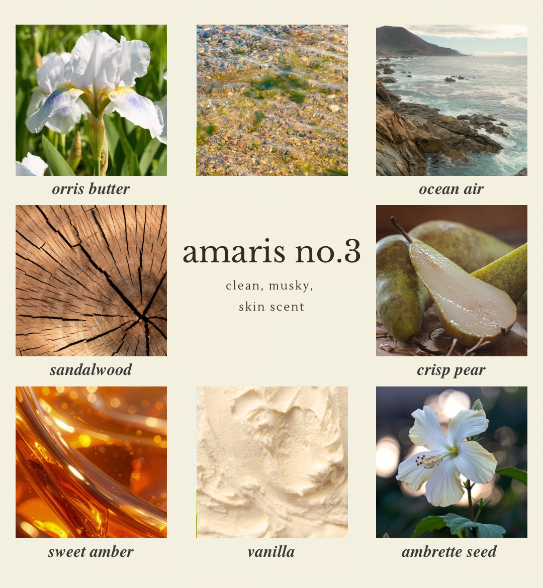 amaris no.3